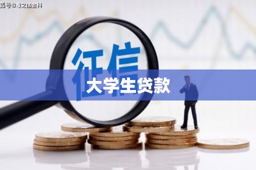 金湖大学生贷款