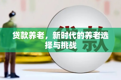 金湖贷款养老，新时代的养老选择与挑战