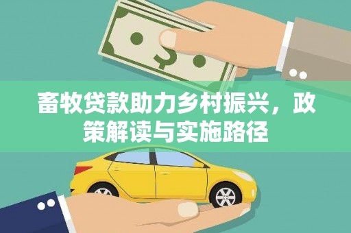 金湖畜牧贷款助力乡村振兴，政策解读与实施路径