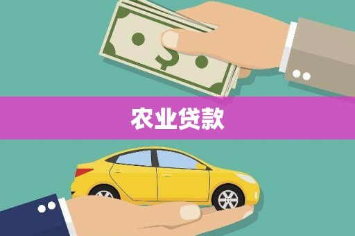 金湖农业贷款