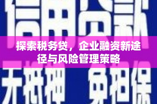 金湖探索税务贷，企业融资新途径与风险管理策略