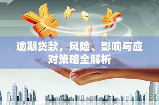 金湖逾期贷款，风险、影响与应对策略全解析
