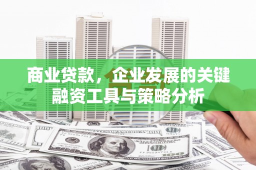 金湖商业贷款，企业发展的关键融资工具与策略分析