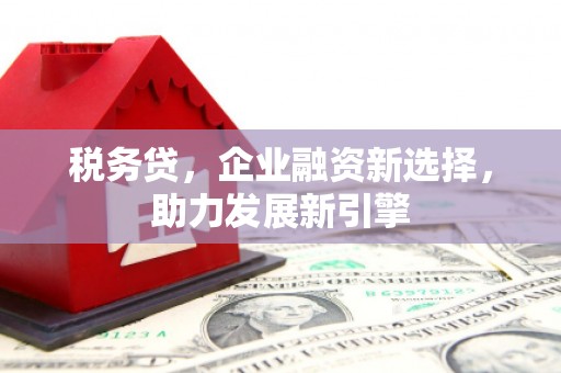 金湖税务贷，企业融资新选择，助力发展新引擎