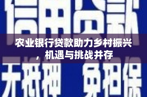 金湖农业银行贷款助力乡村振兴，机遇与挑战并存