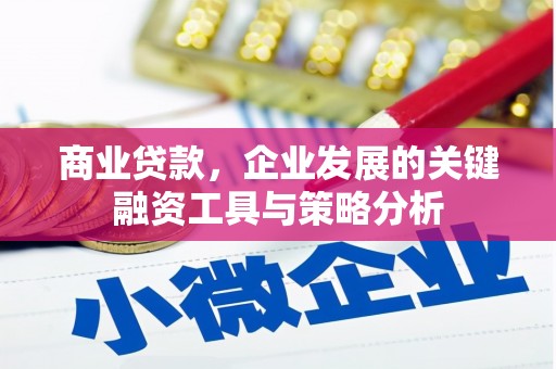 金湖商业贷款，企业发展的关键融资工具与策略分析