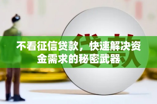 金湖不看征信贷款，快速解决资金需求的秘密武器