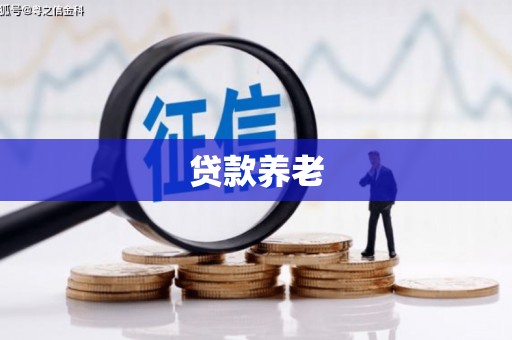 金湖贷款养老