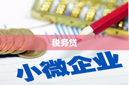 金湖税务贷