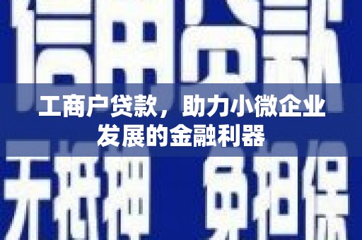 金湖工商户贷款，助力小微企业发展的金融利器