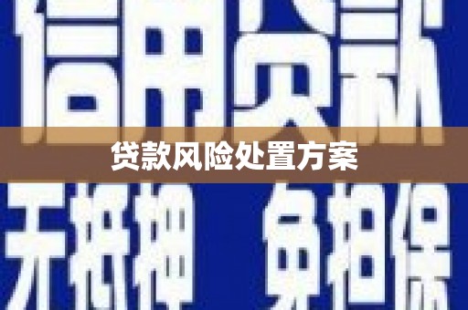 金湖贷款风险处置方案