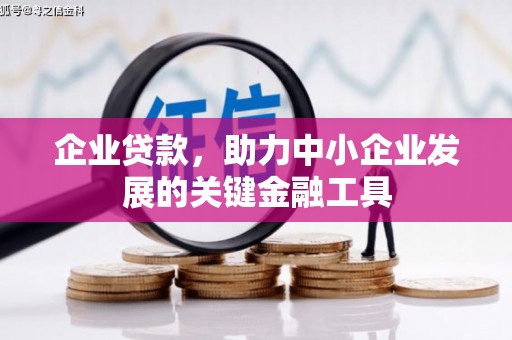 金湖企业贷款，助力中小企业发展的关键金融工具