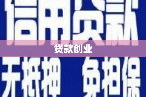 金湖贷款创业