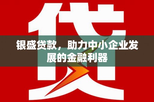 金湖银盛贷款，助力中小企业发展的金融利器
