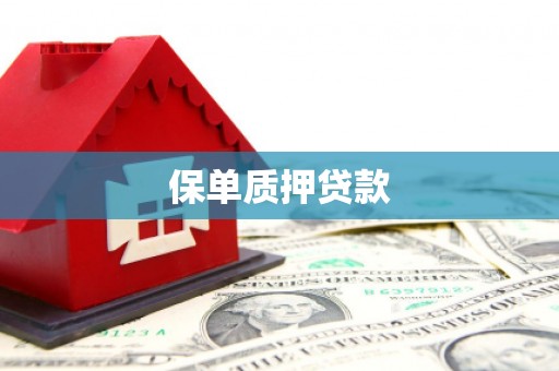 金湖保单质押贷款