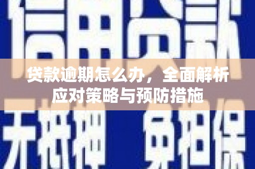 金湖贷款逾期怎么办，全面解析应对策略与预防措施