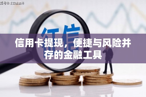 金湖信用卡提现，便捷与风险并存的金融工具