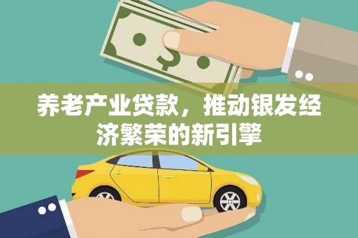 金湖养老产业贷款，推动银发经济繁荣的新引擎