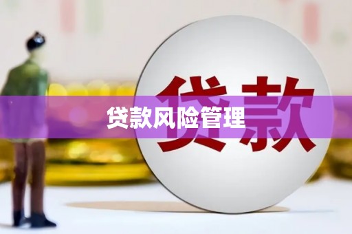 金湖贷款风险管理
