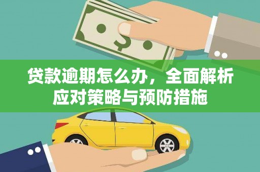 金湖贷款逾期怎么办，全面解析应对策略与预防措施