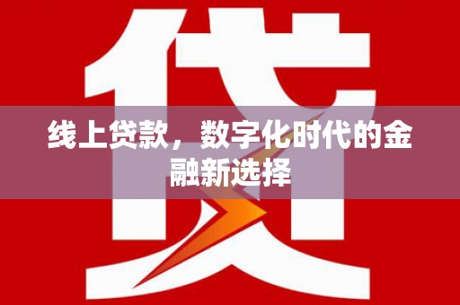 金湖线上贷款，数字化时代的金融新选择