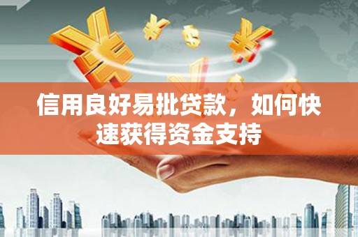 金湖信用良好易批贷款，如何快速获得资金支持