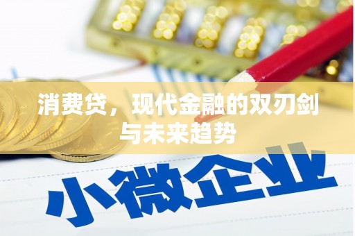 金湖消费贷，现代金融的双刃剑与未来趋势