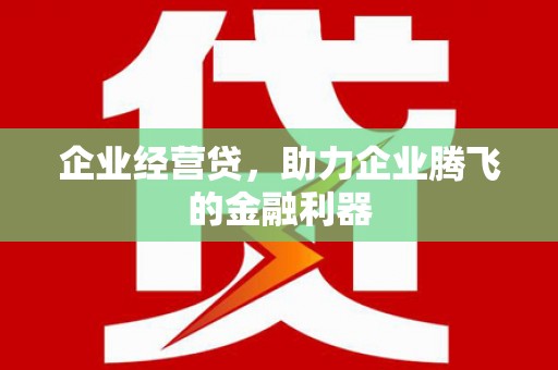 金湖企业经营贷，助力企业腾飞的金融利器