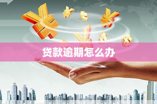 金湖贷款逾期怎么办