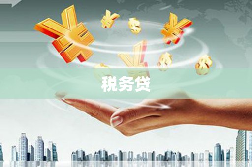 金湖税务贷