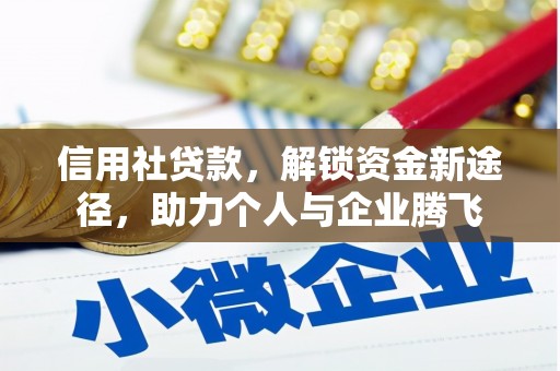 金湖信用社贷款，解锁资金新途径，助力个人与企业腾飞