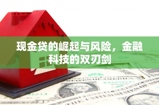 金湖现金贷的崛起与风险，金融科技的双刃剑