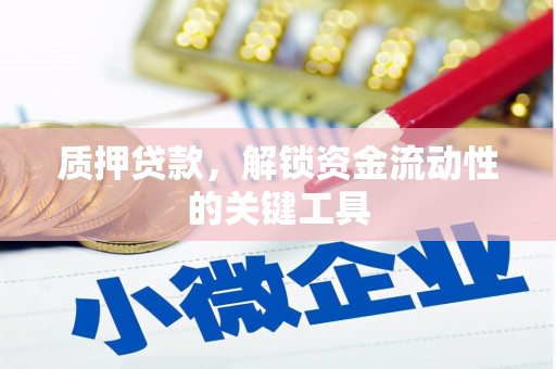 金湖质押贷款，解锁资金流动性的关键工具