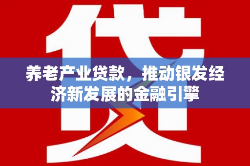 金湖养老产业贷款，推动银发经济新发展的金融引擎