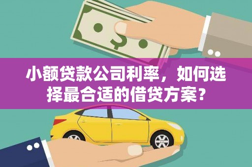 金湖小额贷款公司利率，如何选择最合适的借贷方案？