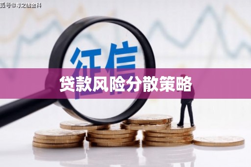 金湖贷款风险分散策略