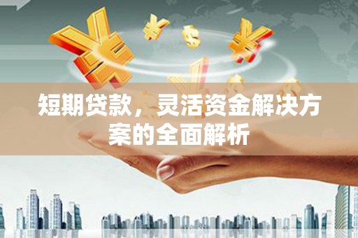 金湖短期贷款，灵活资金解决方案的全面解析