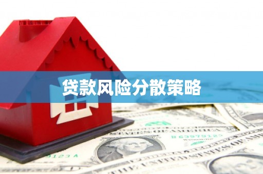 金湖贷款风险分散策略