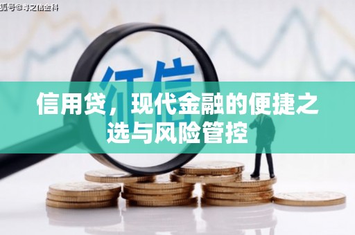 金湖信用贷，现代金融的便捷之选与风险管控