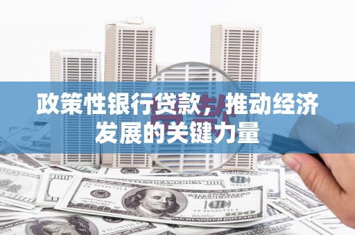 金湖政策性银行贷款，推动经济发展的关键力量