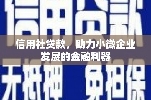 金湖信用社贷款，助力小微企业发展的金融利器