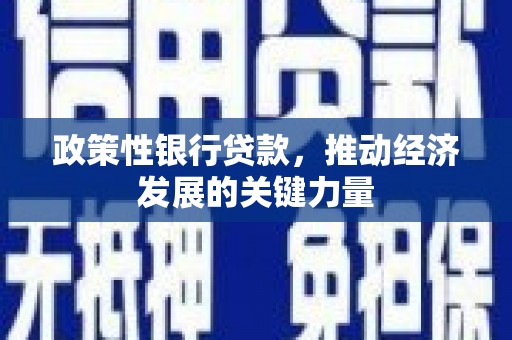 金湖政策性银行贷款，推动经济发展的关键力量