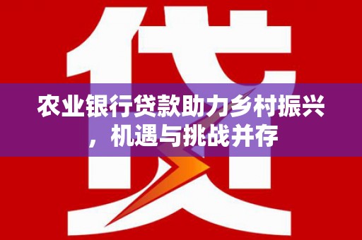 金湖农业银行贷款助力乡村振兴，机遇与挑战并存