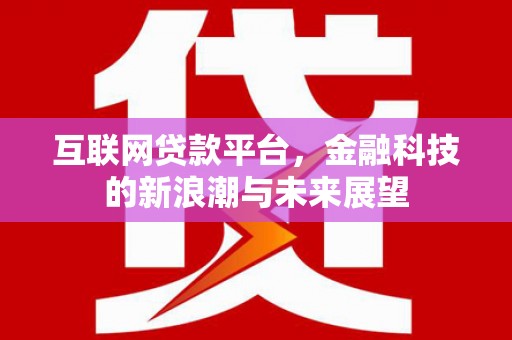 金湖互联网贷款平台，金融科技的新浪潮与未来展望