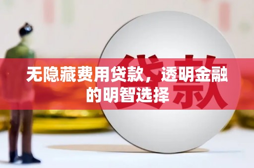 金湖无隐藏费用贷款，透明金融的明智选择