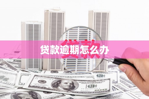 金湖贷款逾期怎么办