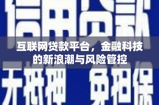 金湖互联网贷款平台，金融科技的新浪潮与风险管控