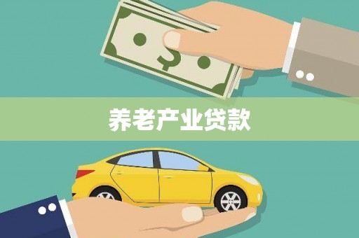 金湖养老产业贷款