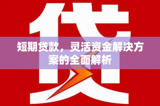 金湖短期贷款，灵活资金解决方案的全面解析