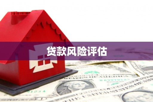 金湖贷款风险评估